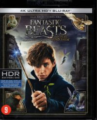 Fantastic Beasts and Where to Find Them - 4K Ultra HD + Blu-ray